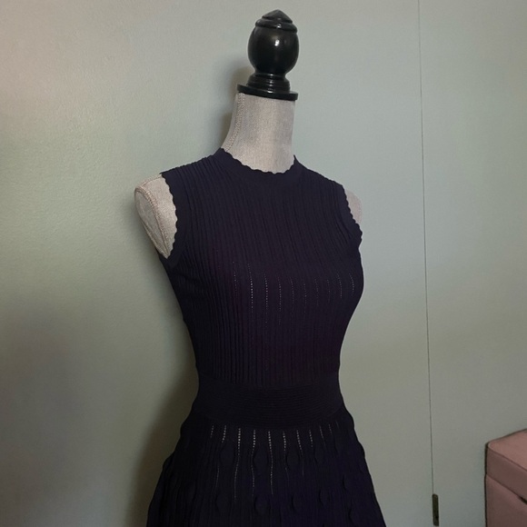 Ted Baker navy dress size small / extra small - Picture 5 of 8